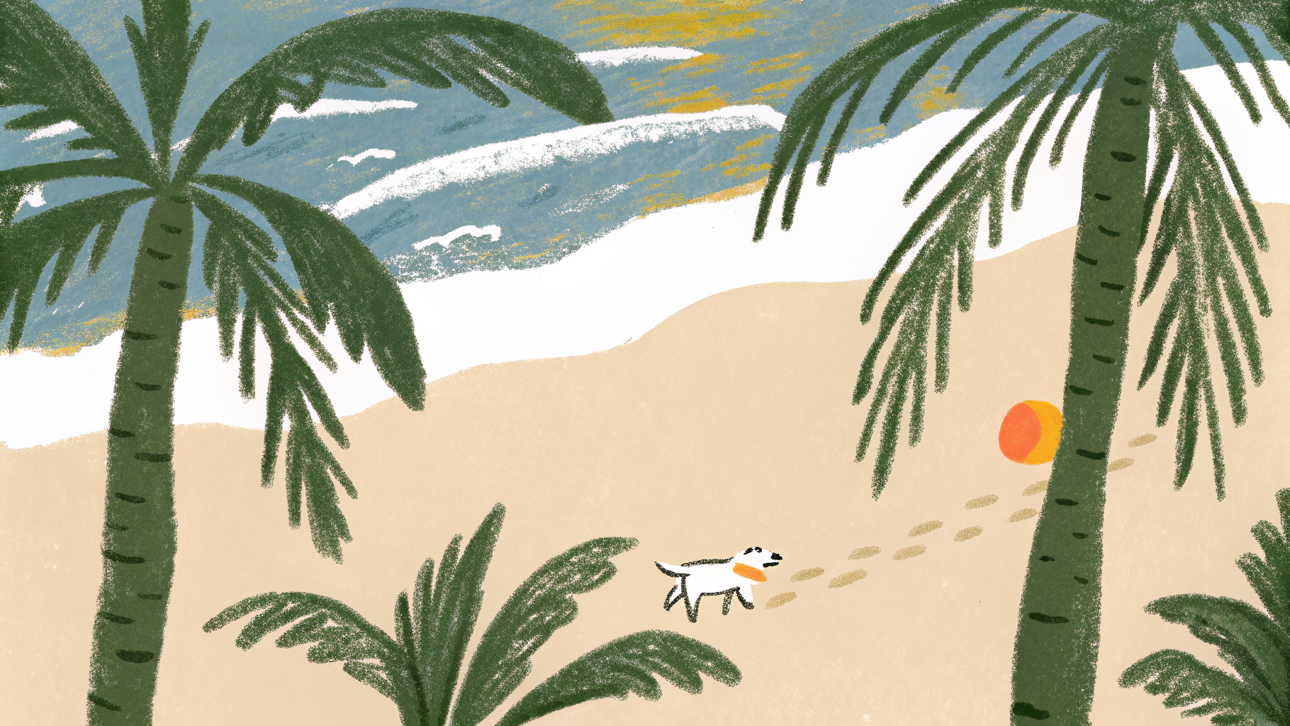 Dog enjoying a California beach at sunset