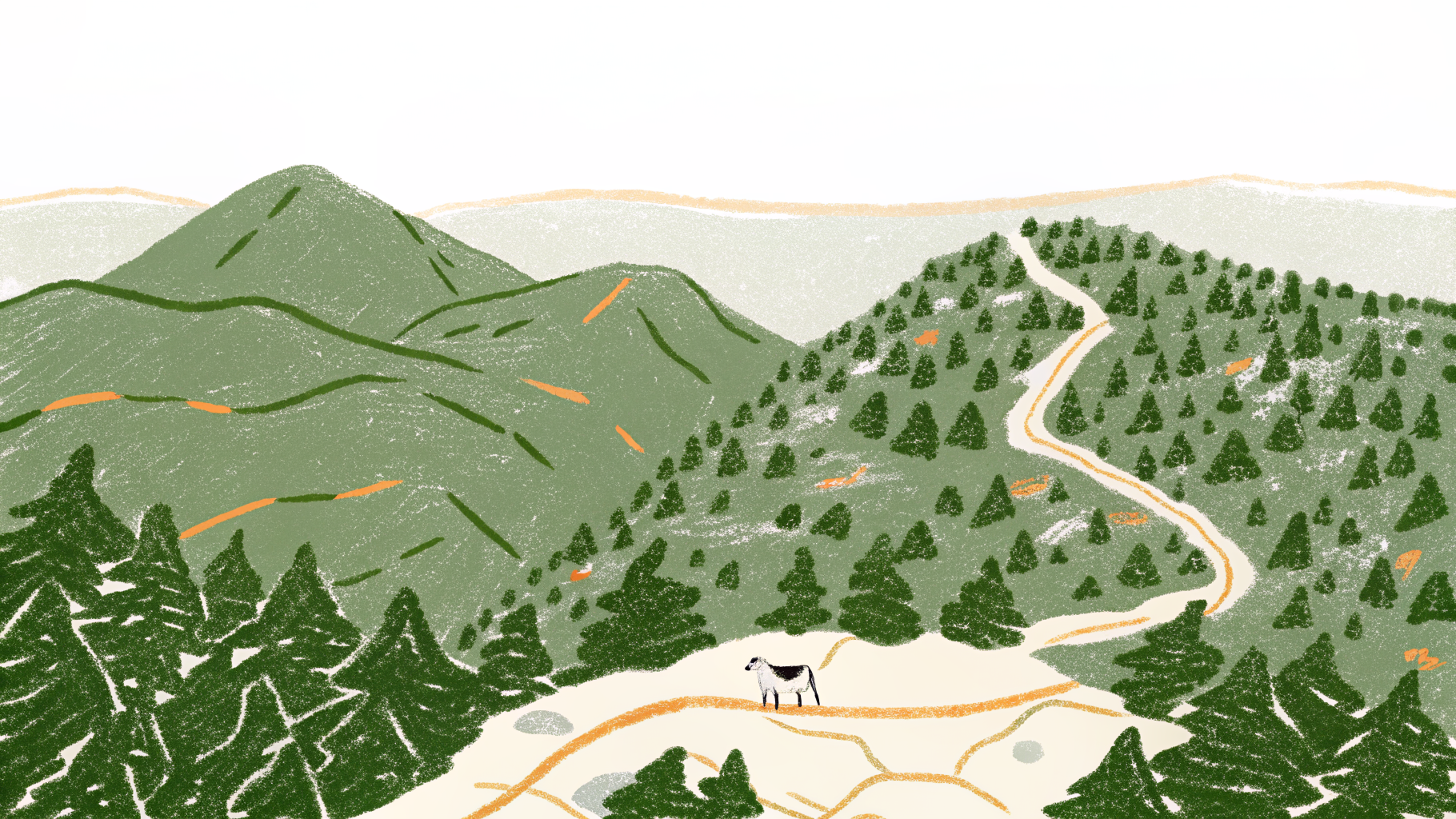 Dog hiking in the Blue Ridge Mountains of North Carolina