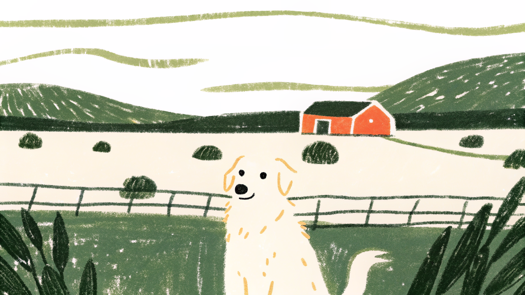 Dog running in a Texas ranch setting