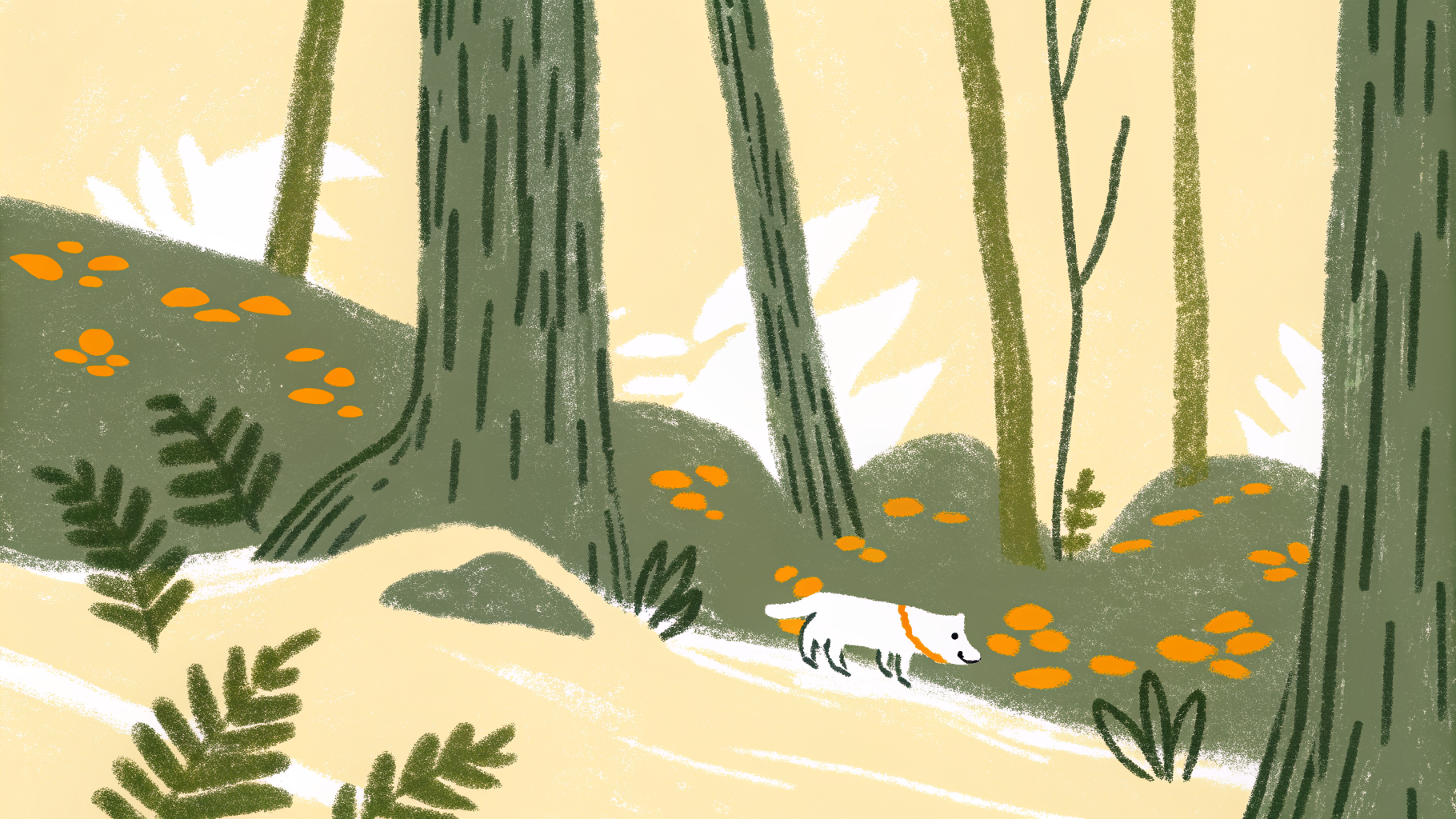 Dog walking through a misty Pacific Northwest forest trail