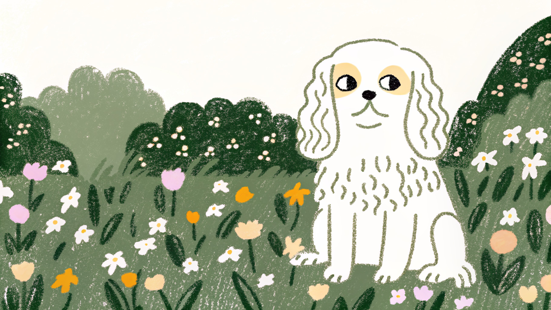 Illustration of a Cavalier King Charles Spaniel with a Blenheim coat sitting gracefully on a velvet cushion