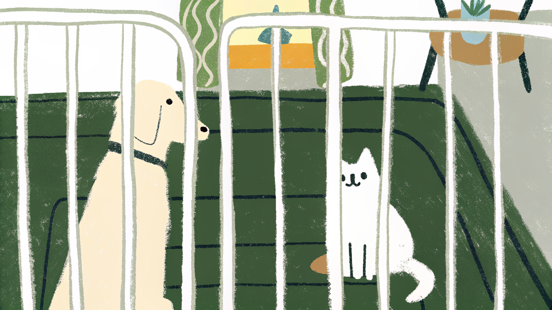 Dog and cat meeting through a baby gate for the first time