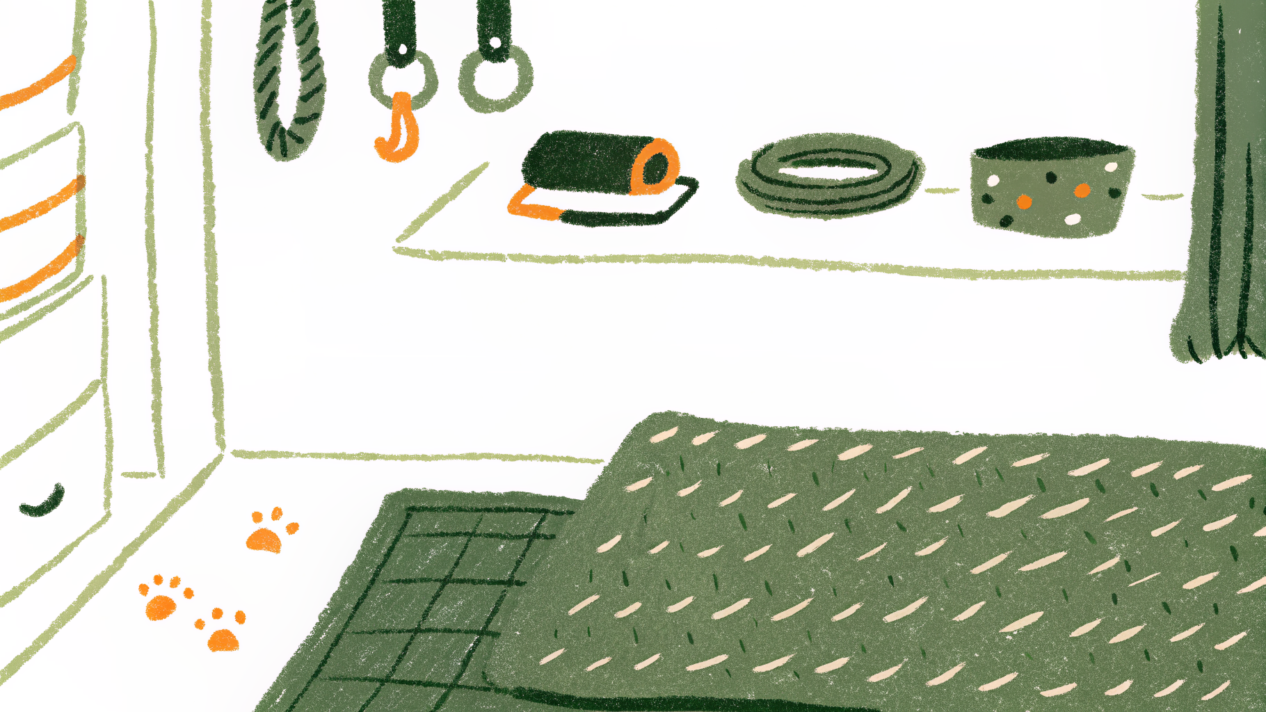 Dog supplies organized neatly for a new dog owner