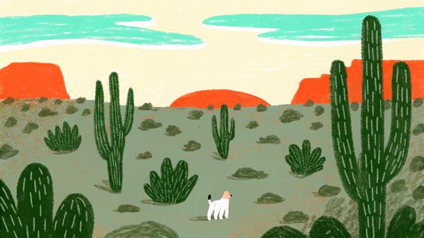 Arizona Dog Adoption