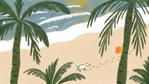 Best Dog Breeds to Adopt in California