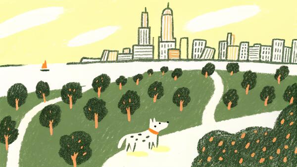 Illinois Dog Adoption