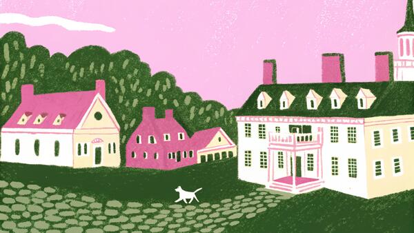 Adopt a Dog in Virginia