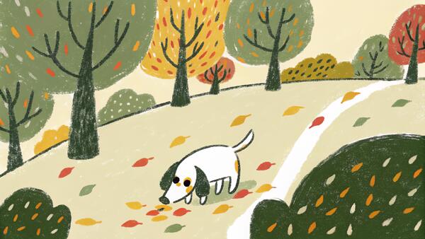 Beagle: The Ultimate Guide to the Friendly Hound