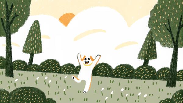 Boxer: The Energetic Clown of the Dog World