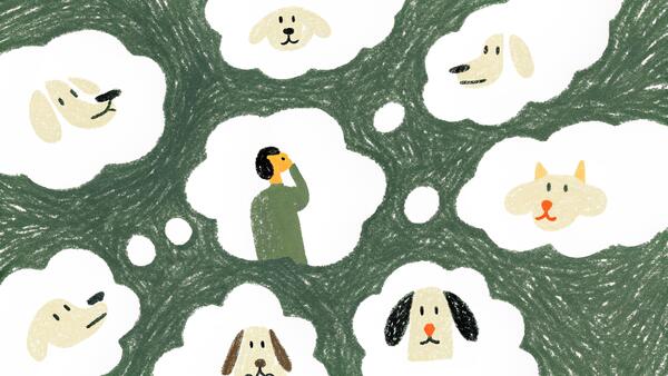 How to Choose the Right Dog Breed