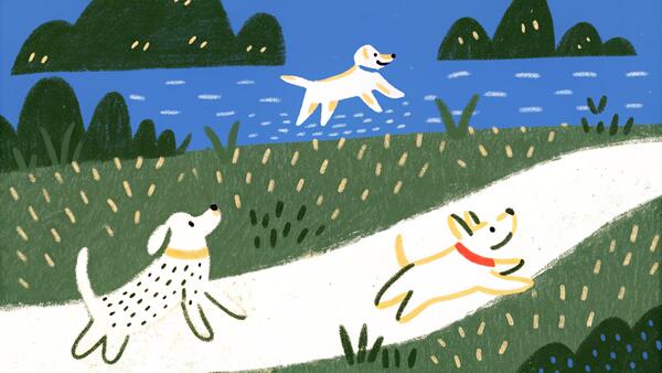 Dog Exercise Guide by Breed