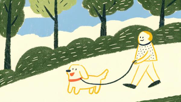 Best Dogs for First-Time Owners