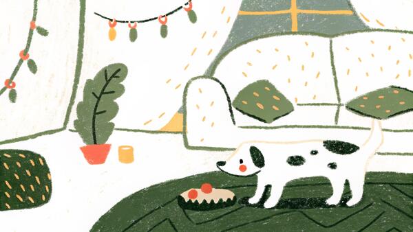 What to Expect the First Week With Your Rescue Dog