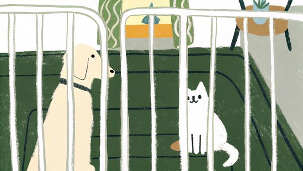 How to Introduce a Rescue Dog to Your Other Pets