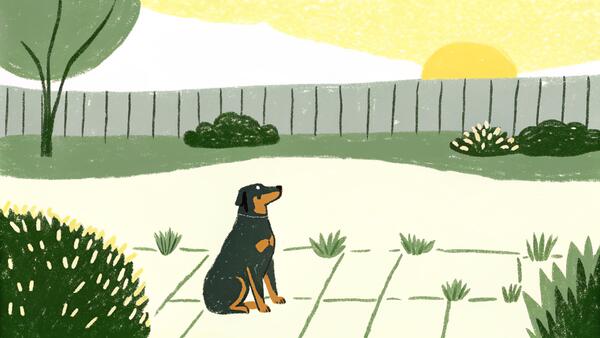 Rottweiler: Loyal Guardian or Family Pet? Both.