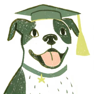 Trained dog wearing graduation cap
